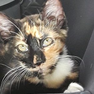 Meet your Posher, Kaitlynn